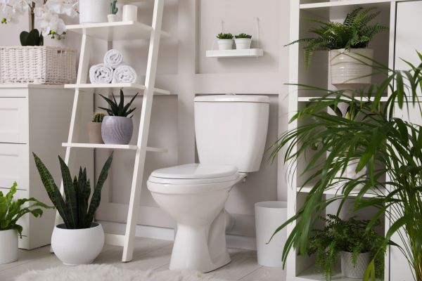 Cost of Toilet Repair in Moreno Valley