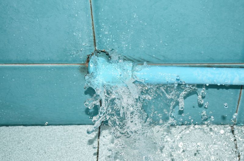 Plumbing Leak Repair